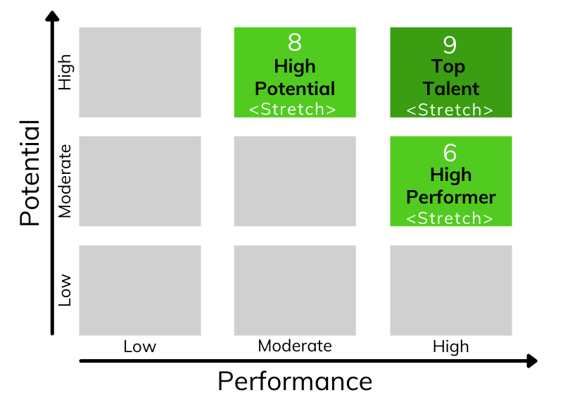 Future potential high performer, high potential. Working at full potential. High performing 9 box talent high performance