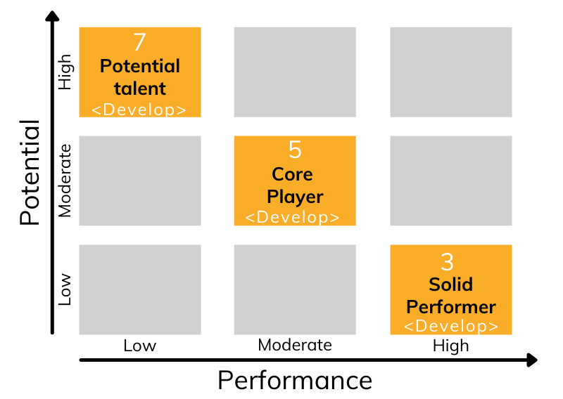 Moderate potential performance management. Performance and potential talent 9 box