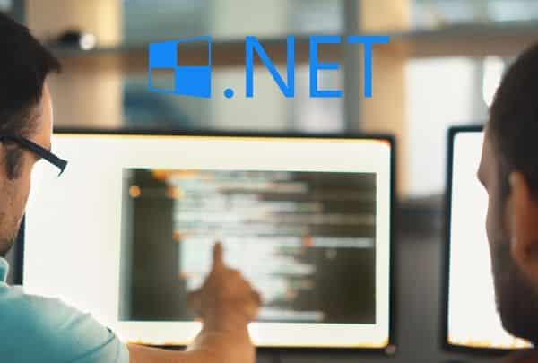 Desarrollador Microsoft .NET Puestos de trabajo en Workstation