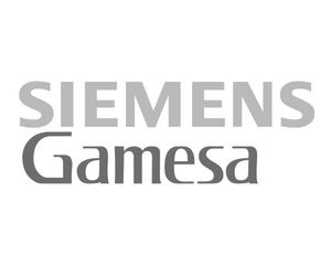 Siemens searches for top talent using Talentprise